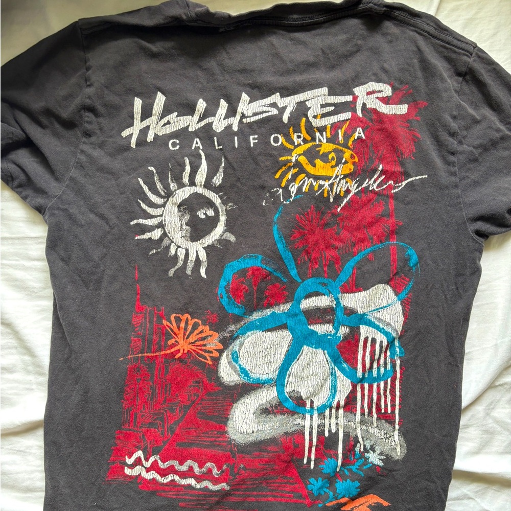Hollister graphic T shirt, (unknown time period), XS, Grey and Multi-color